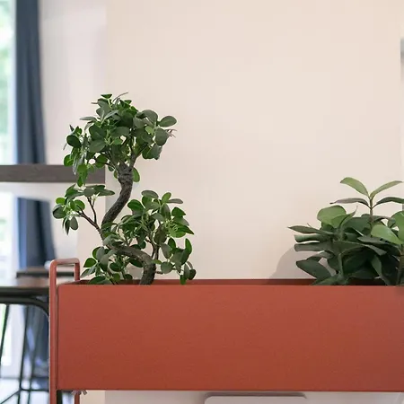 Semesterbostad La Maison Pasteque - A 10 Minutes De Disneyland Montévrain